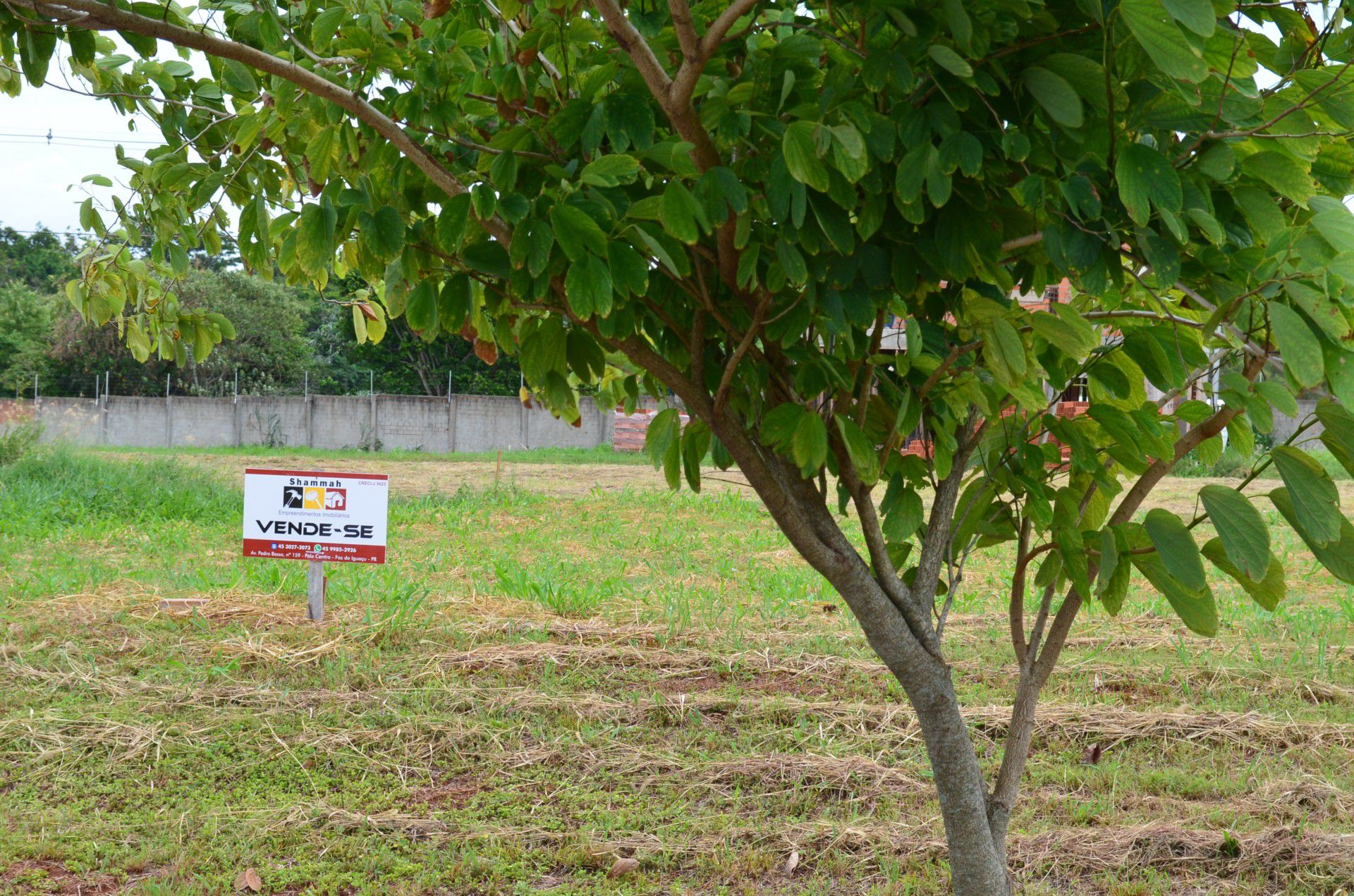 Terreno à venda, 300m² - Foto 2