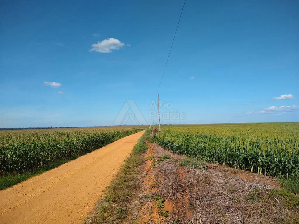 Fazenda com 22 mil hectares em Goiás 