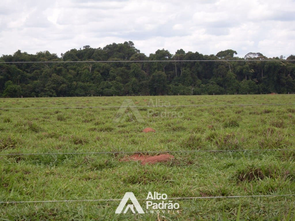 FAZENDA Á VENDA | 90.527 ALQUEIRE | SÃO FELIX DO ARAGUAIA -MG