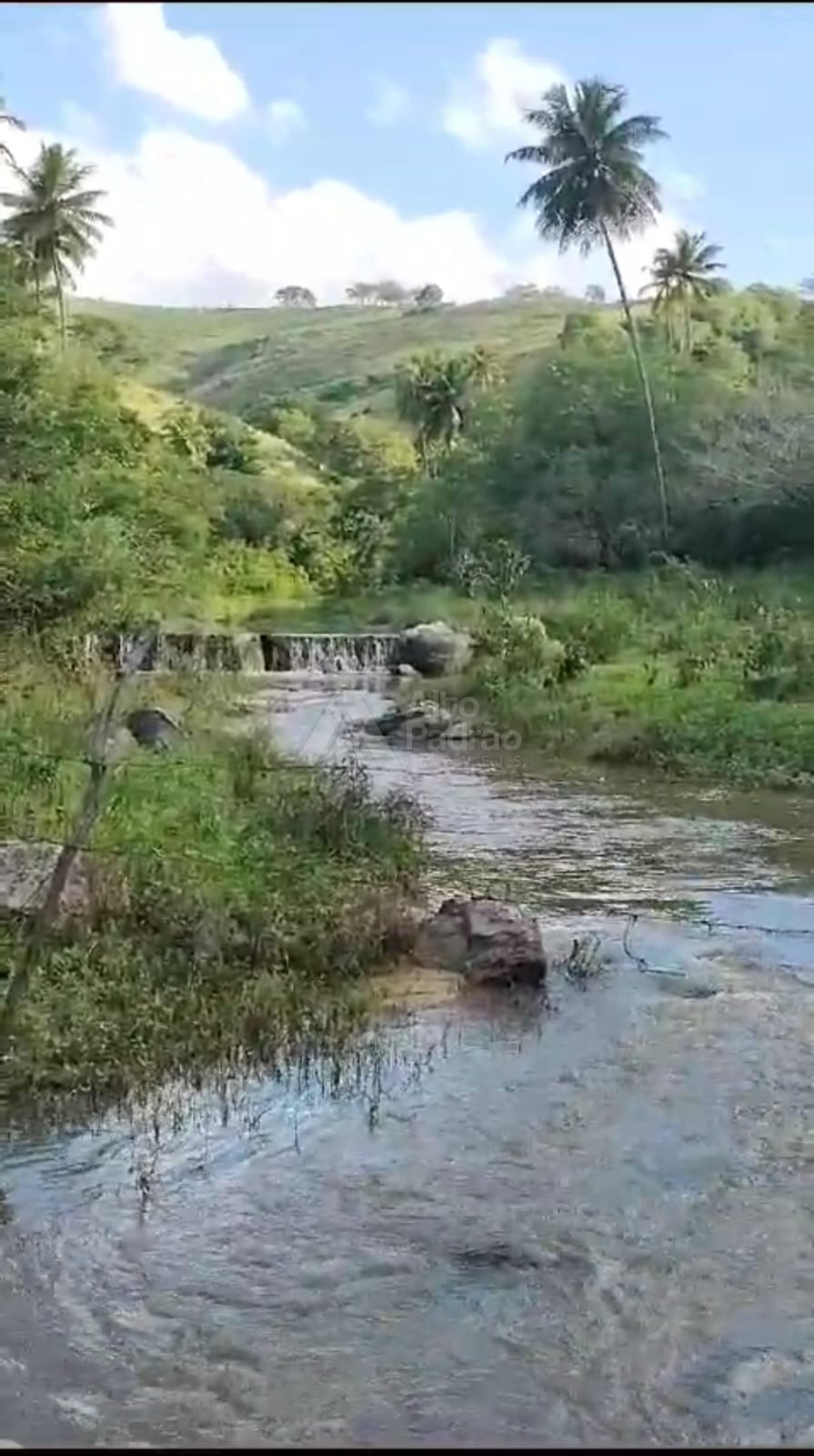 FAZENDA COM 186 HECTARES | Á VENDA | TIMBAÚBA- PE 