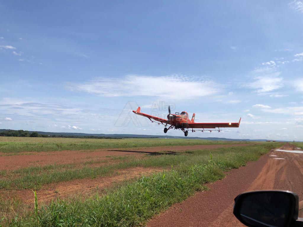 Oportunidade em Mato Grosso-MT 