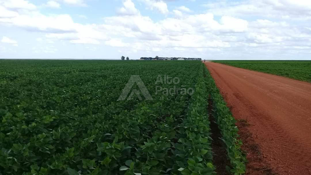 FAZENDA COM 21 MIL HECTARES | Á VENDA | TEREZINHA - PI