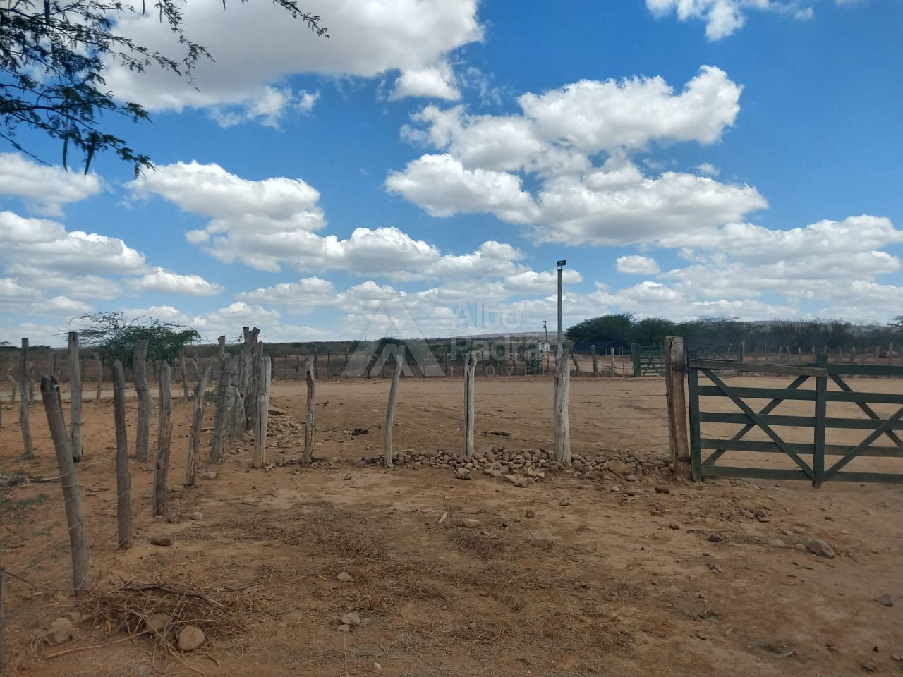 FAZENDA COM 960 HECTARES | Á VENDA | IBIMIRIM - PE 