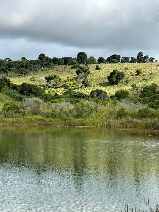 Fazenda  a venda  com  217 hectares  em Bairro