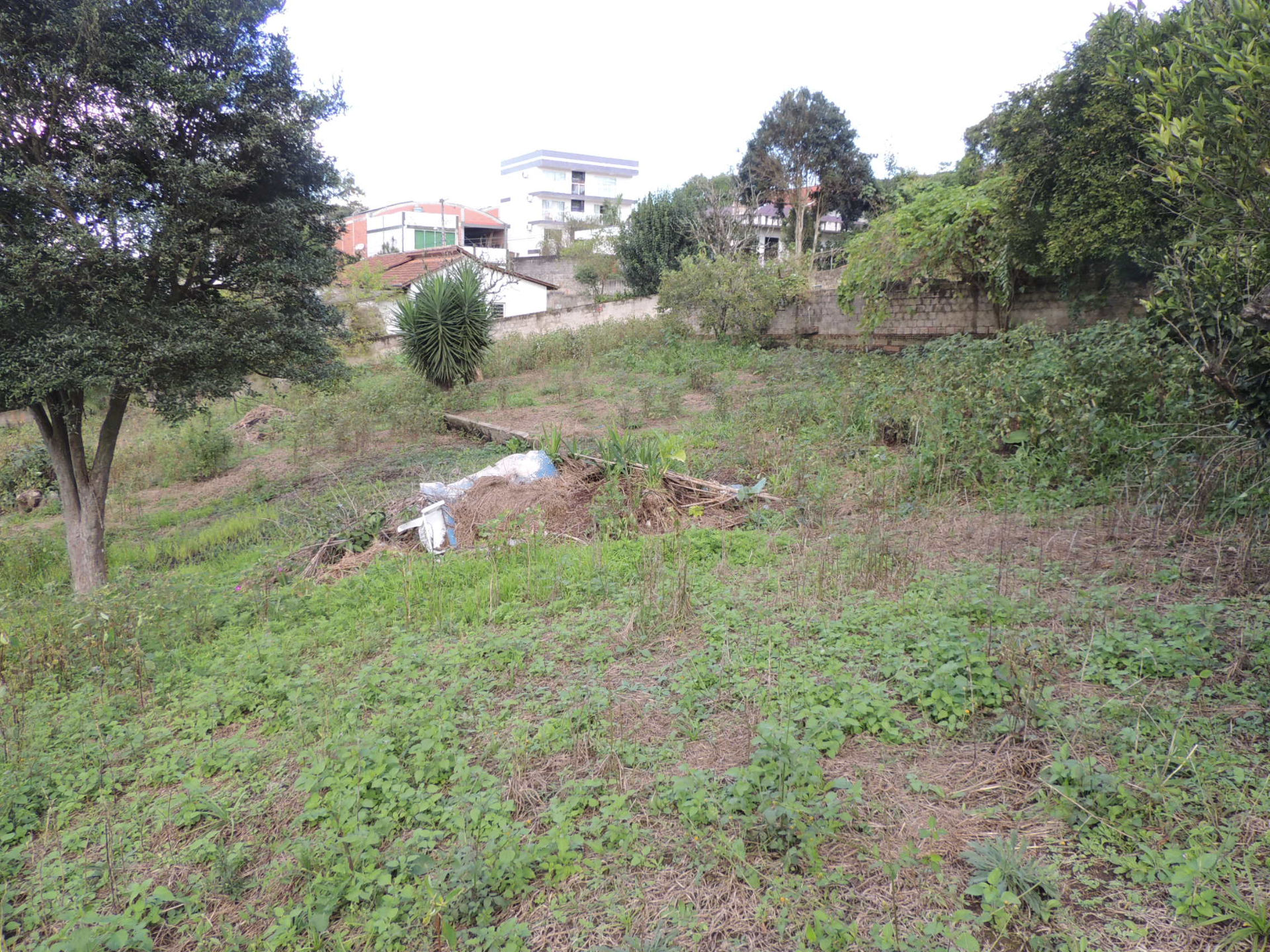 Terreno à venda no Alto de Mafra 