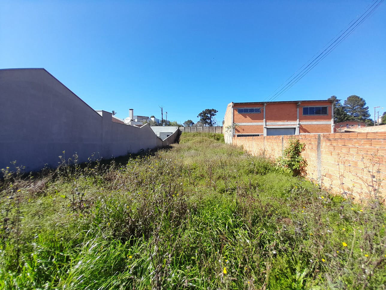 Terreno à venda no Campo do Gado 