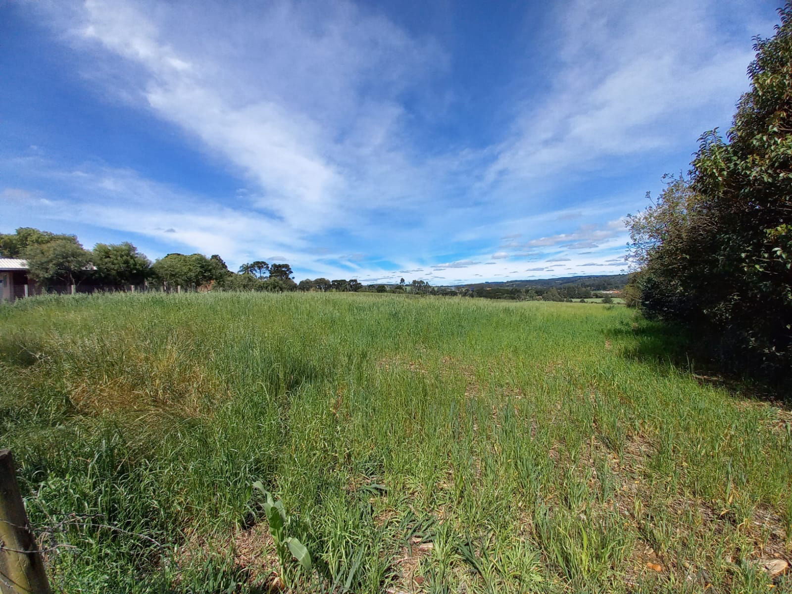 Terreno à venda no Campo da Lança 