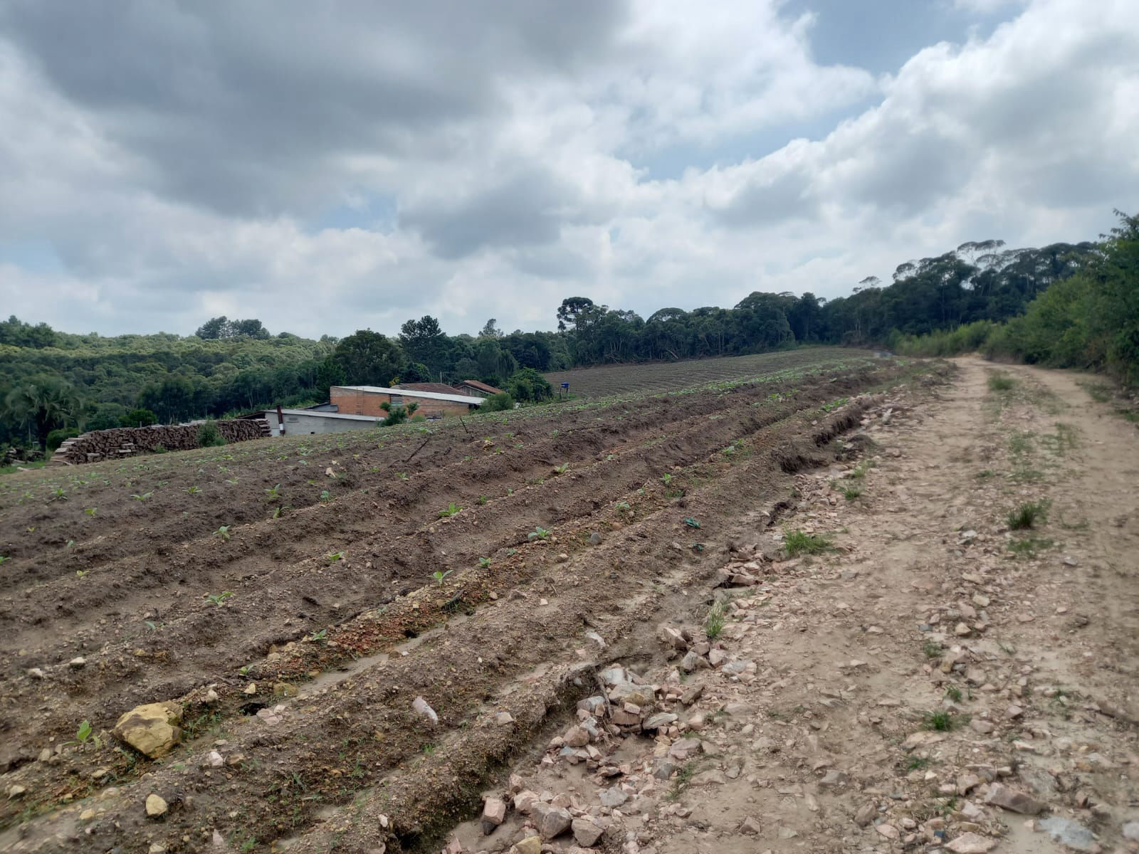 Terreno à venda na Campina dos Martins 