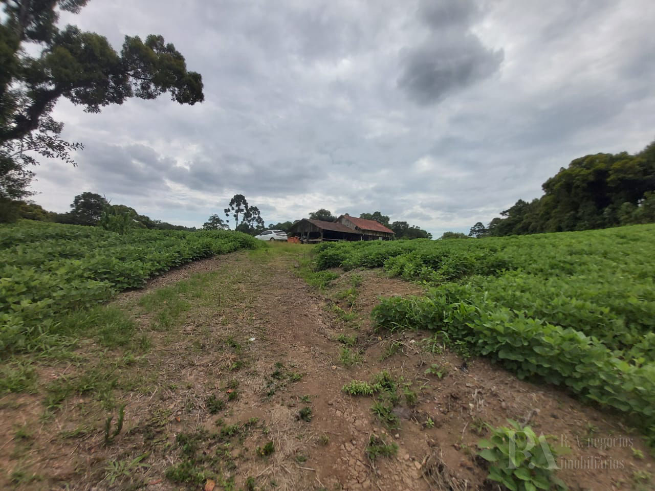 Terreno  em São Bento do Sul