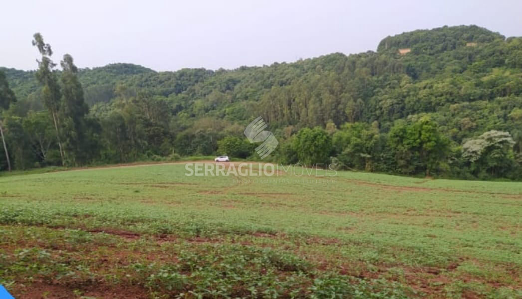 Terreno à venda na Linha União (Próximo Linha Rio Tuna)