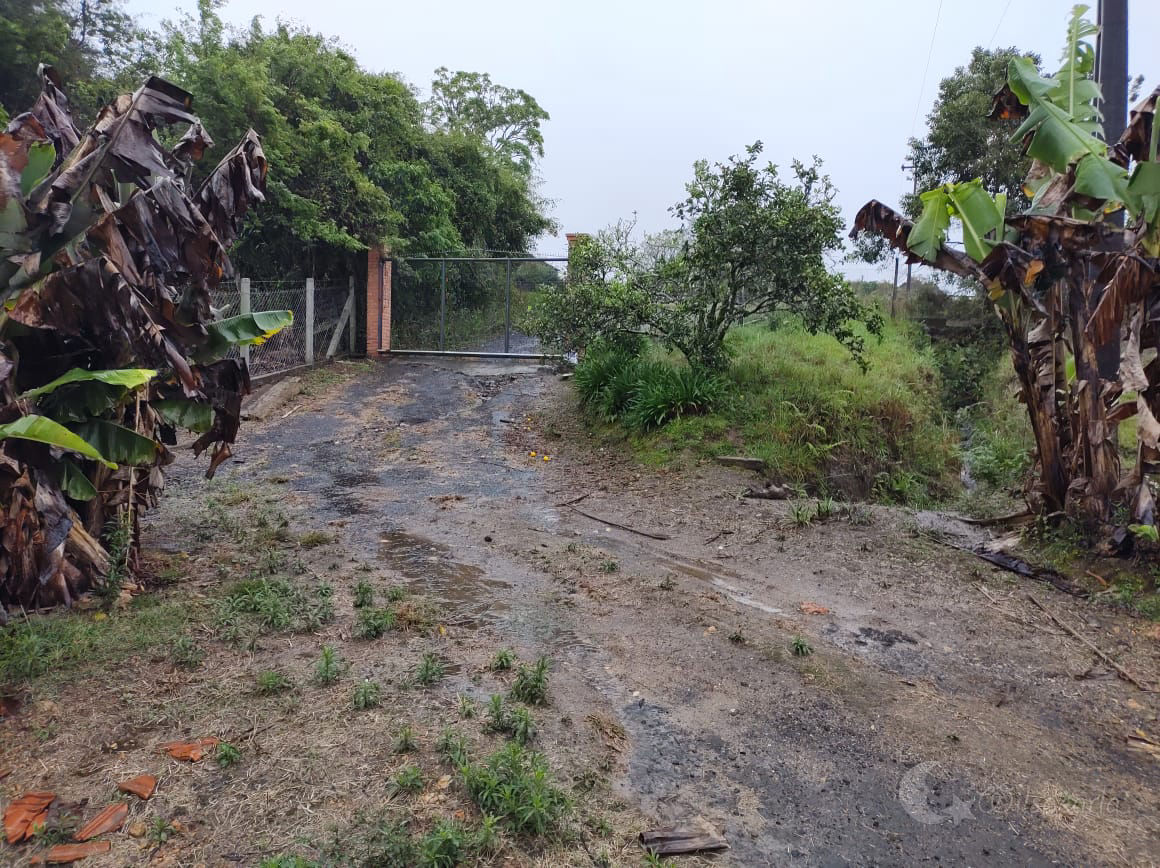 Terreno à venda em Faxinal dos Castilhos