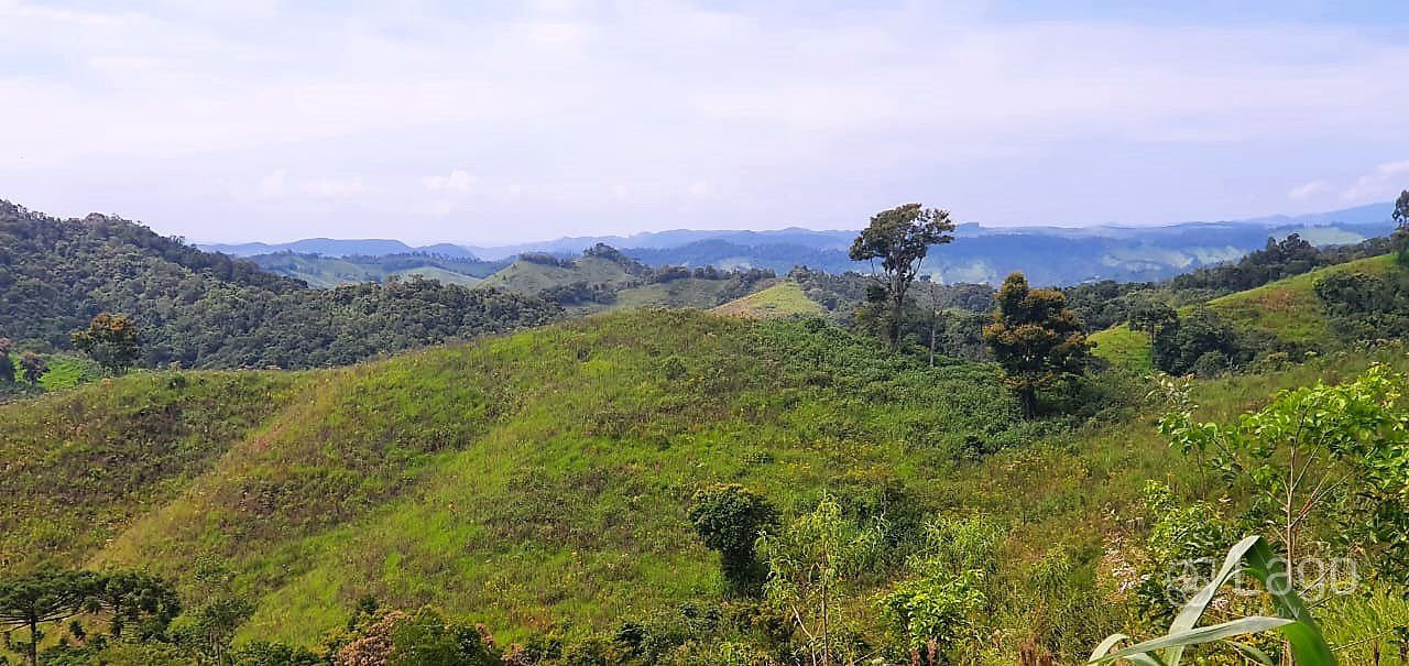 Fazenda