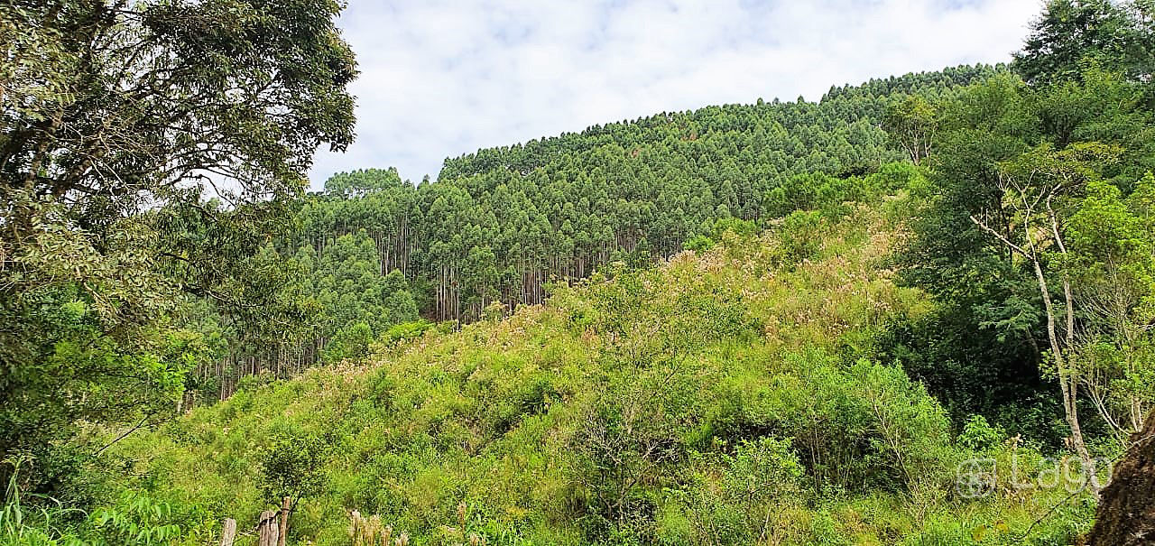 Fazenda à venda