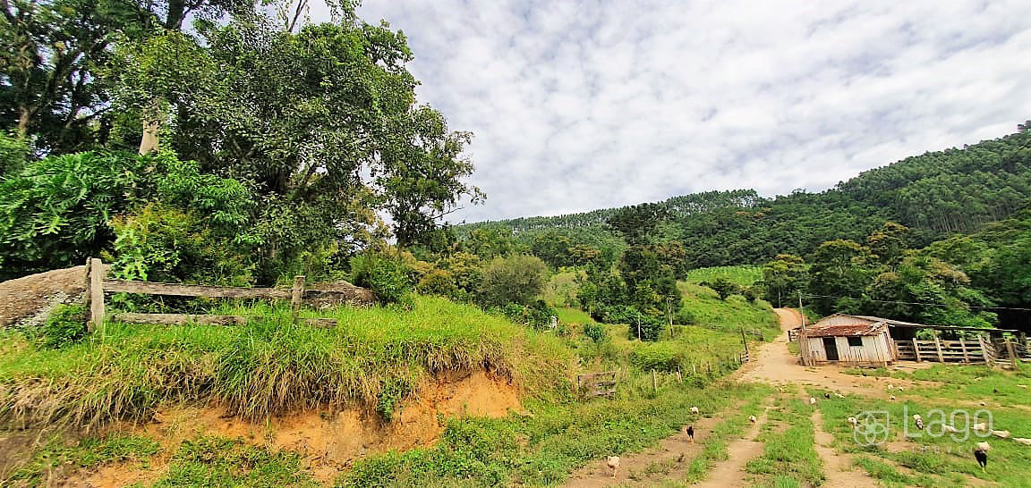 Fazenda