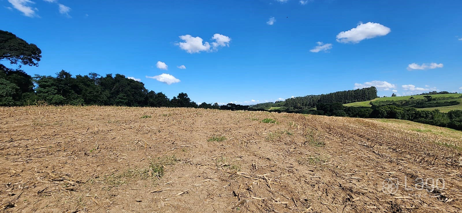 Área à venda em Catanduvas