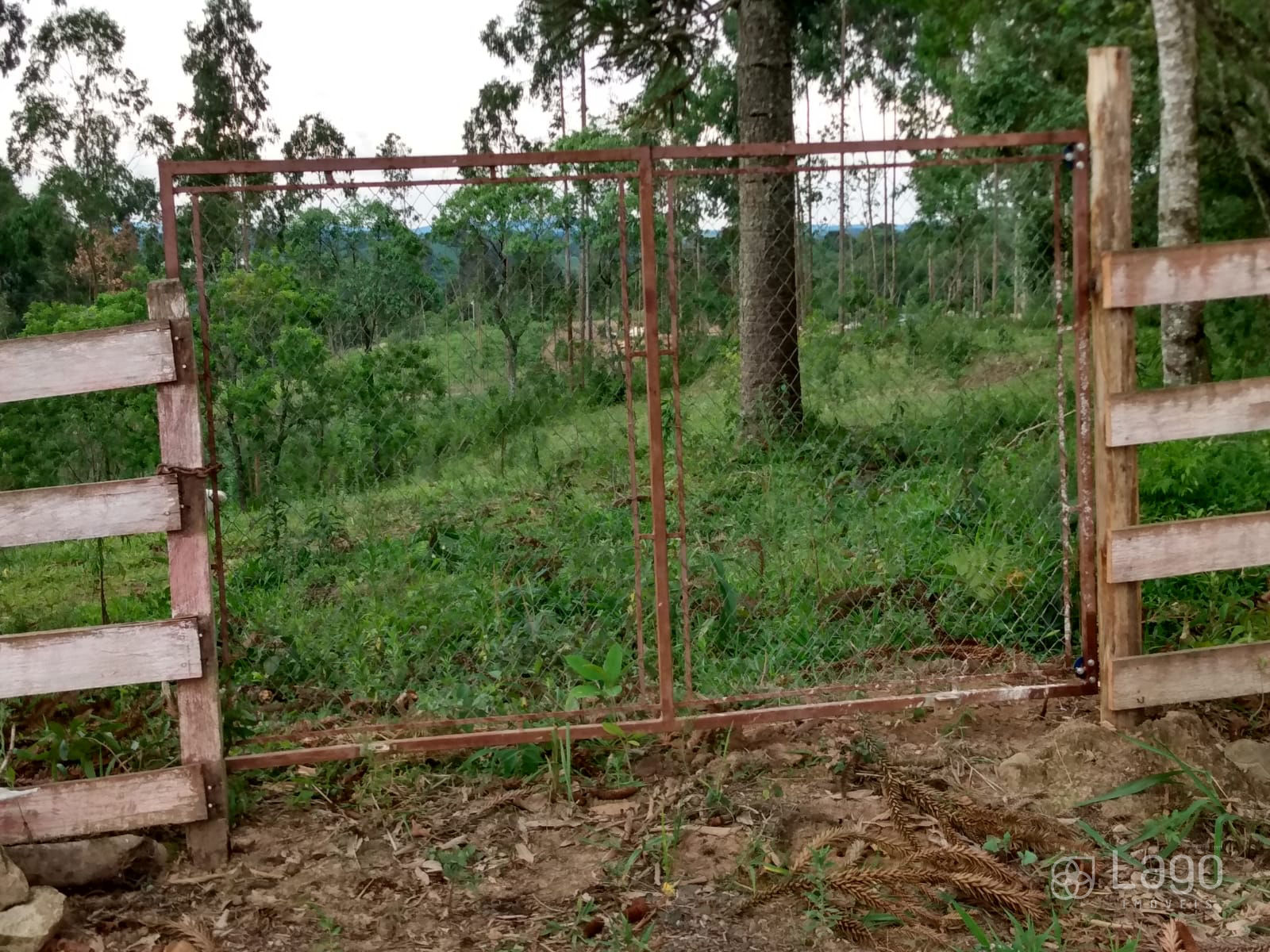 Chácara à venda em Catanduvas