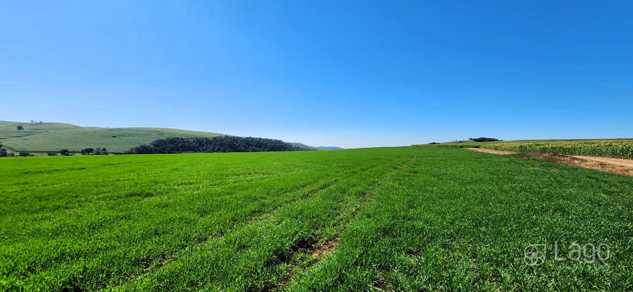 Fazenda