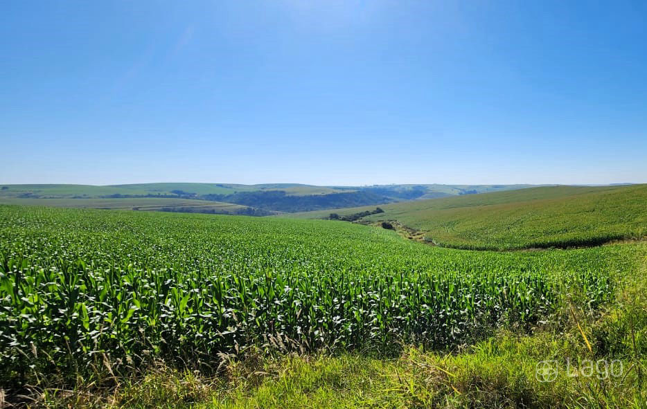 Fazenda