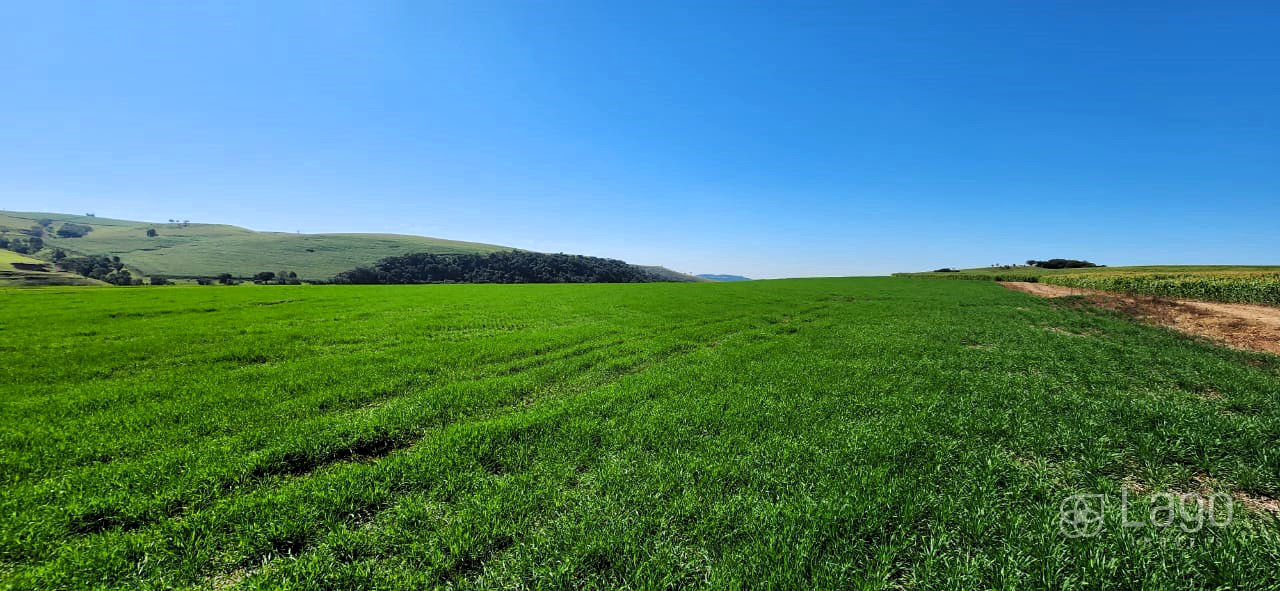 Fazenda à venda