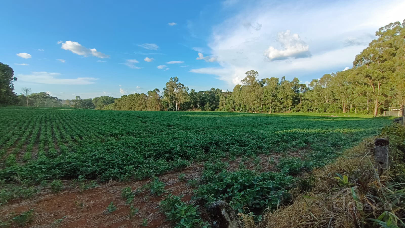 Lote / Terreno