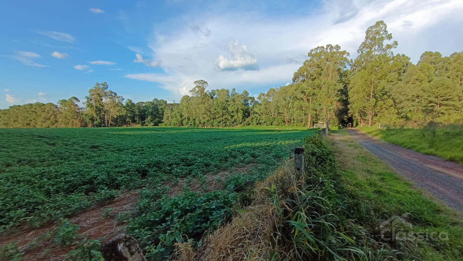 Lote / Terreno