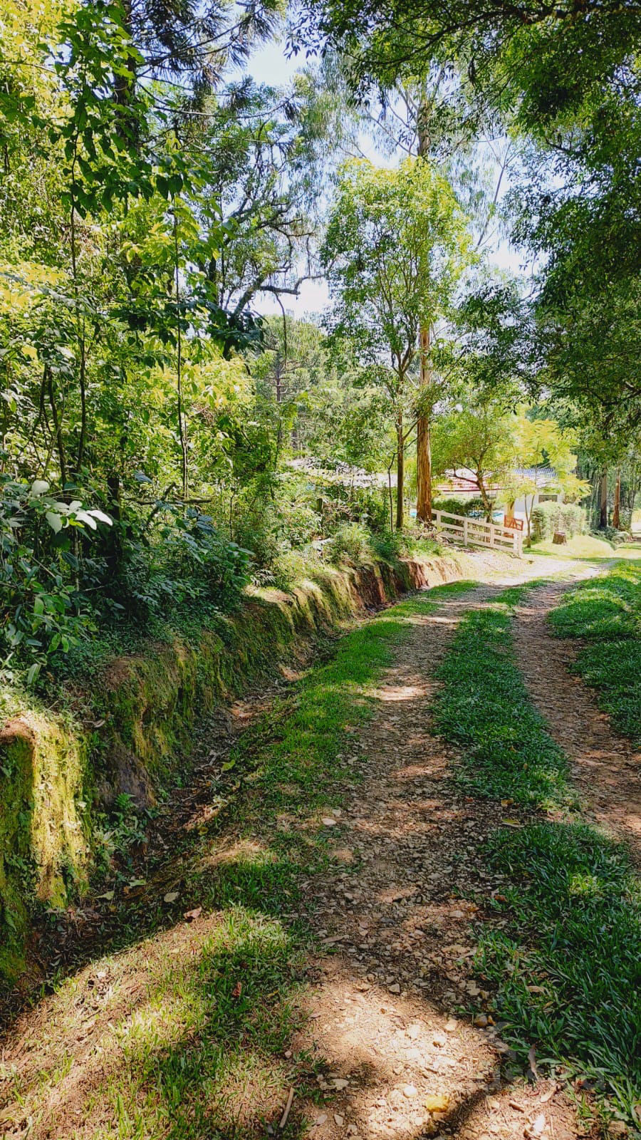 Fazenda