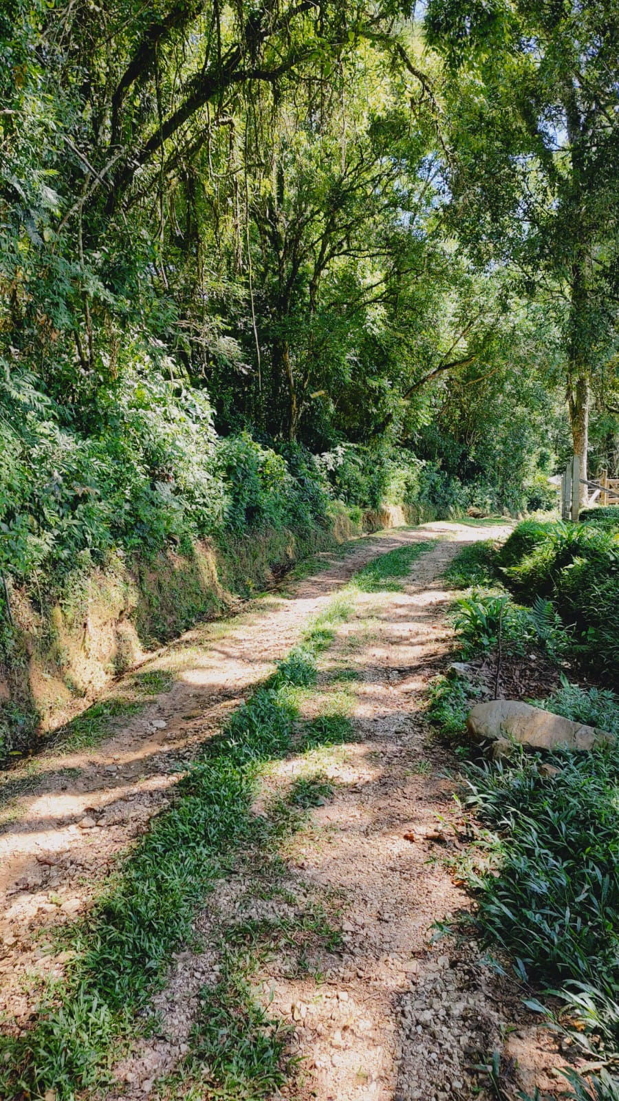 Fazenda