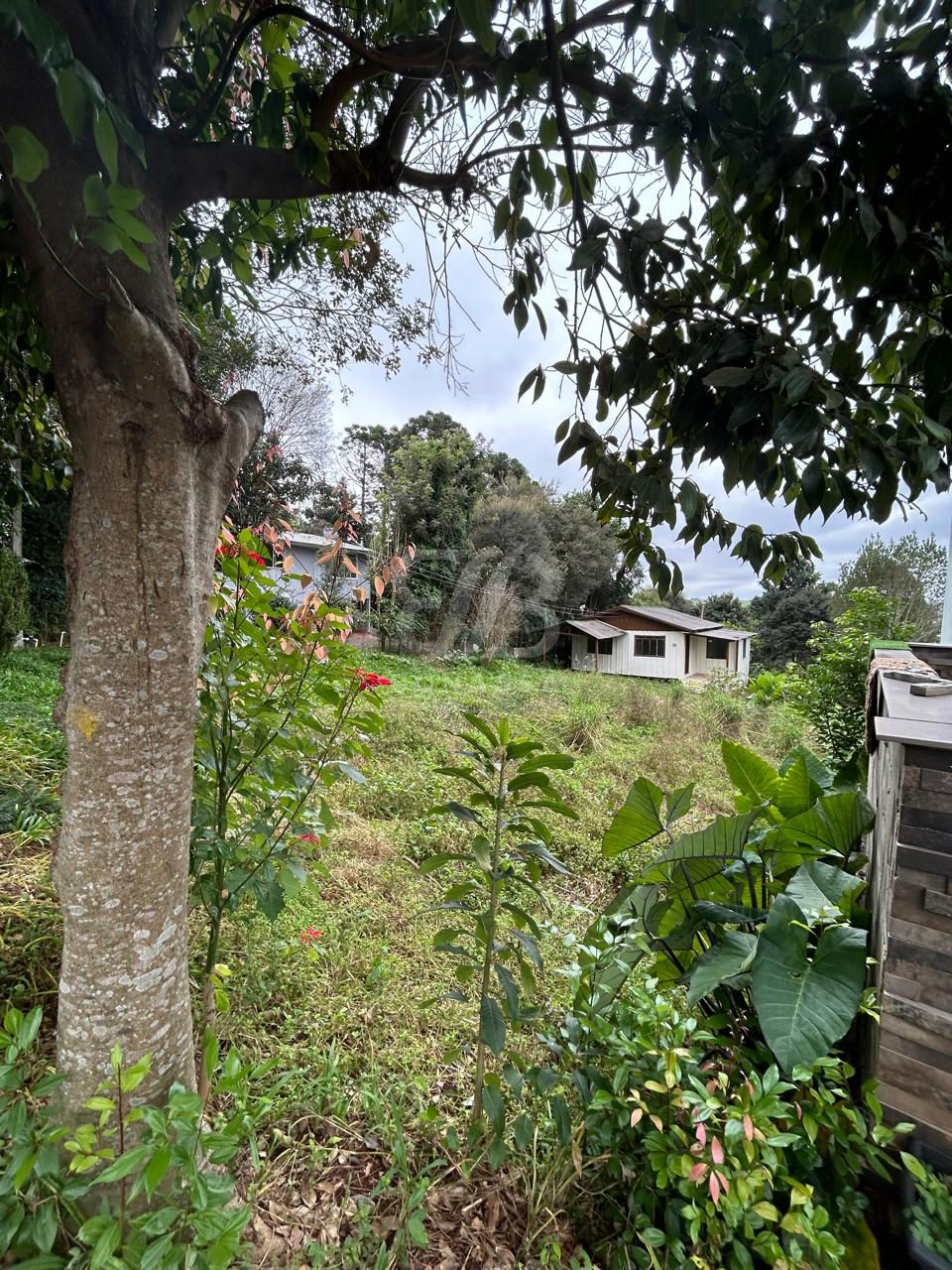 Casa à venda em Marmeleiro