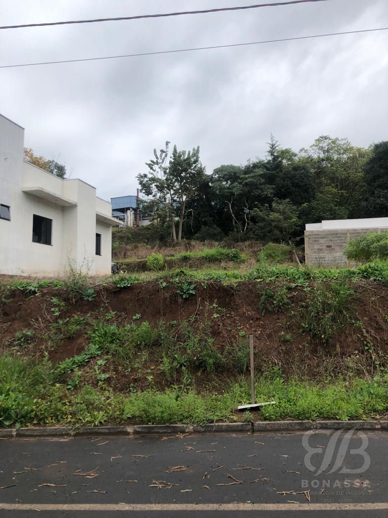 Terreno à venda no bairro Sadia