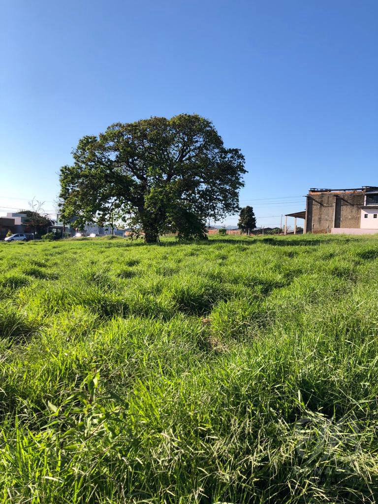 Terrenos à venda no Jardim Primavera