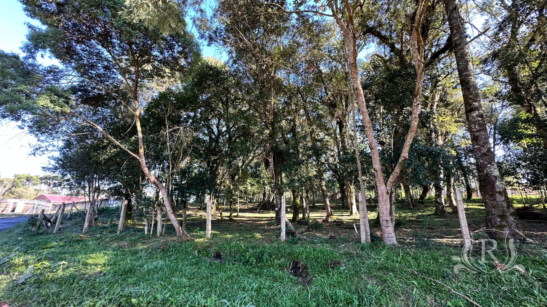 Terrenos à venda no bairro Sítio dos Rauen em Rio Negro - PR